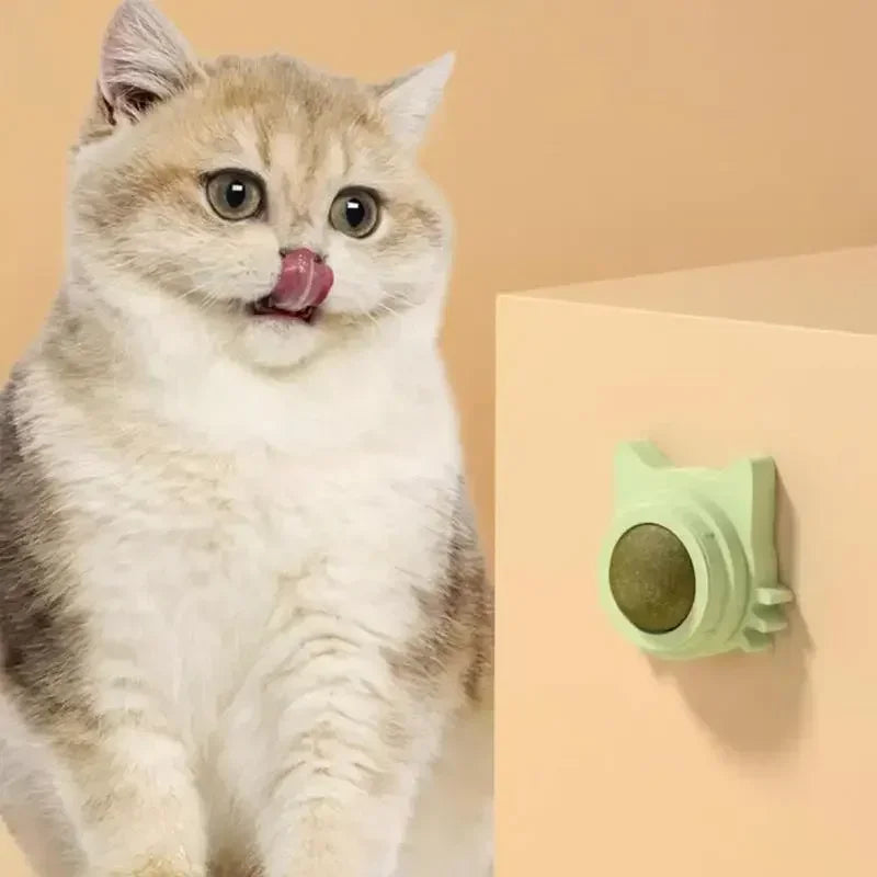 Balle à Herbe à Chat - Snack et Jouet