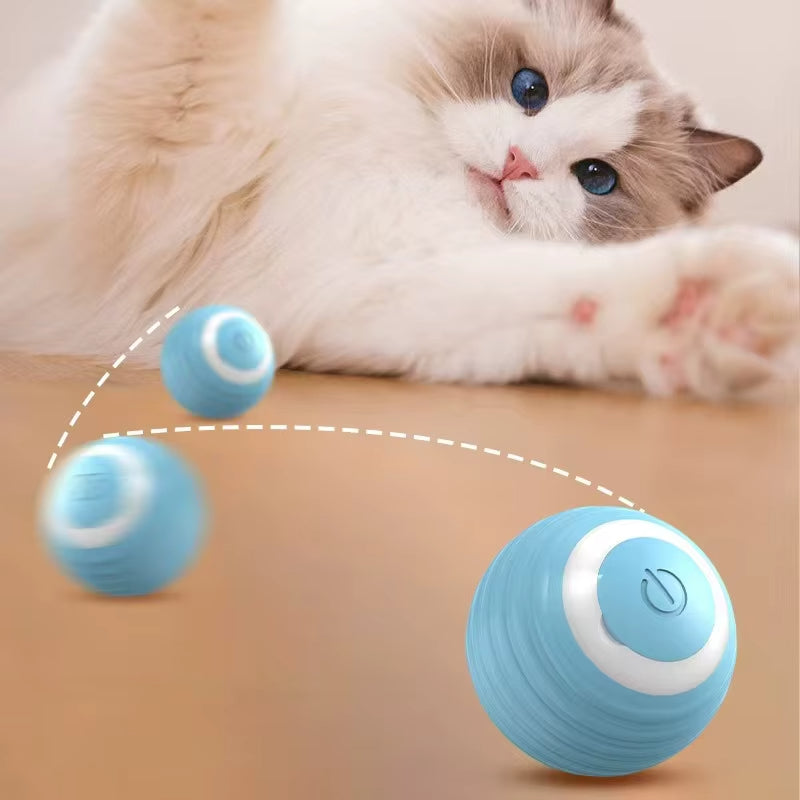 Balle Interactive pour Chats – Amusement et Bien-être Assurés !