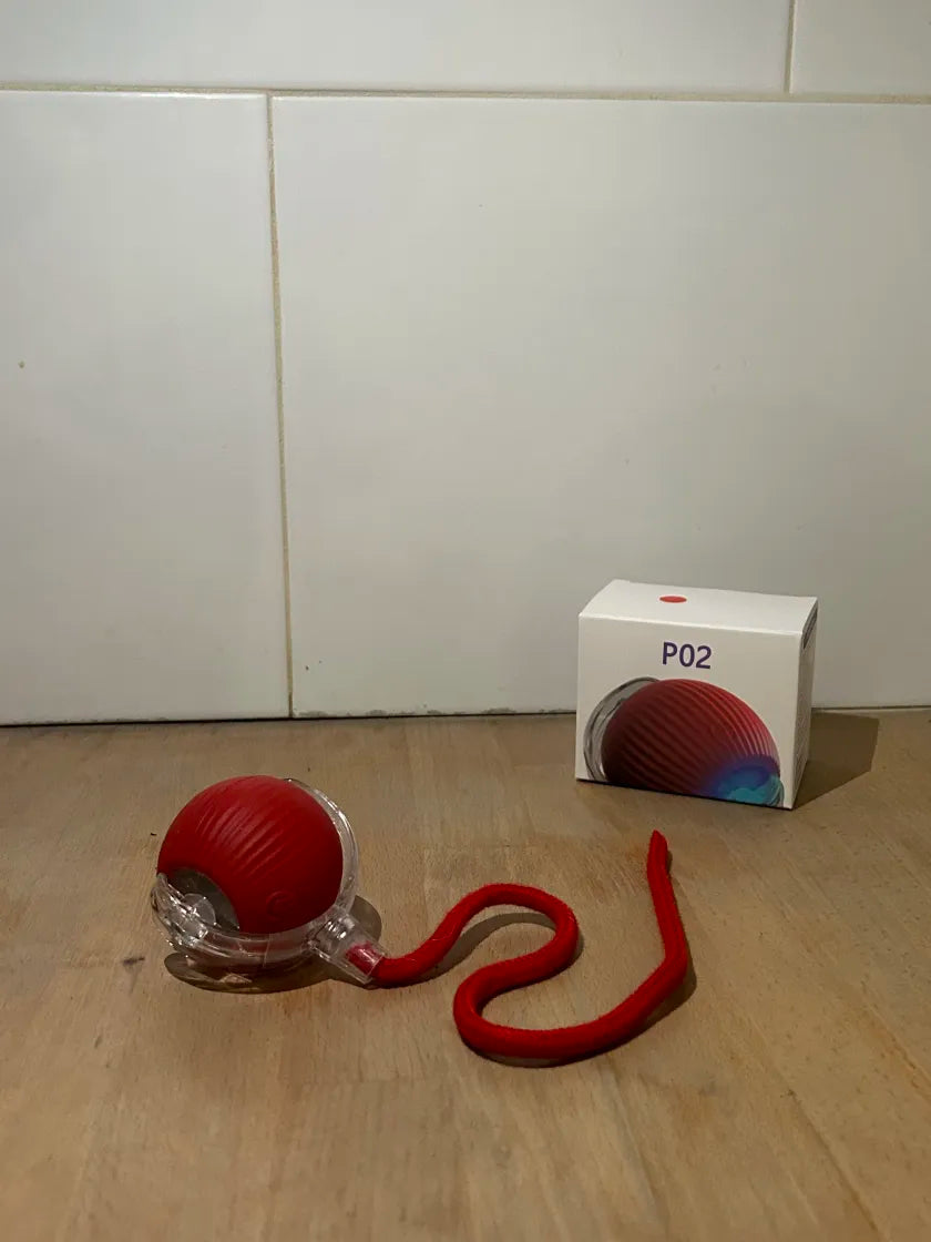 Balle Interactive – Amusement et Bien-être Assurés !