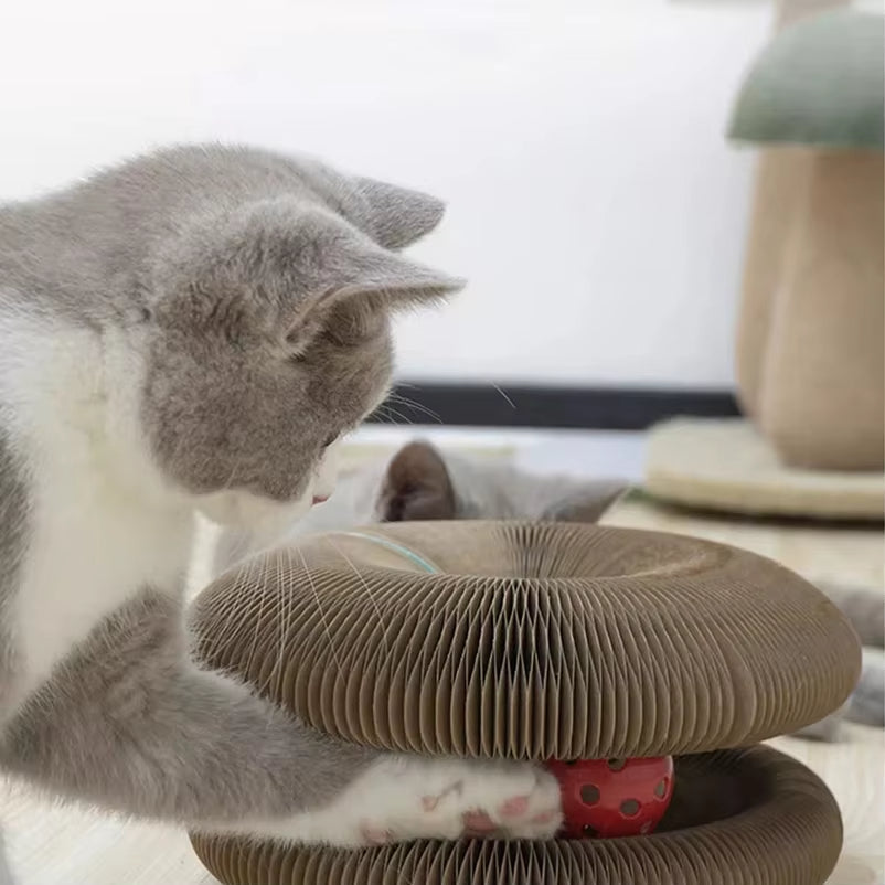 Griffoir Rond et Jouet Interactif pour Chats