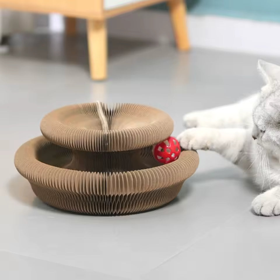 Griffoir Rond et Jouet Interactif pour Chats