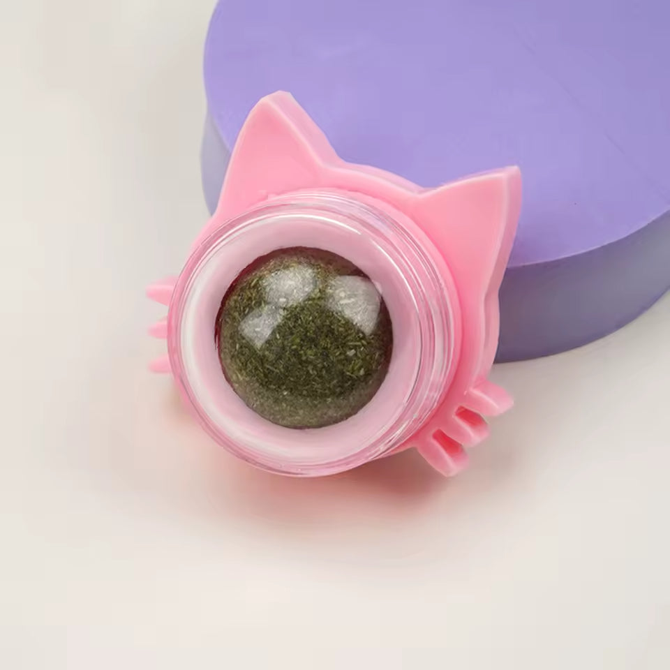 Balle à Herbe à Chat - Snack et Jouet