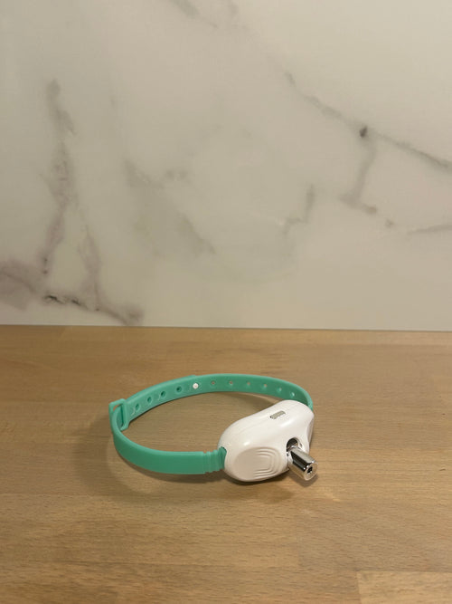 Collier Laser Automatique – Anti-Ennui