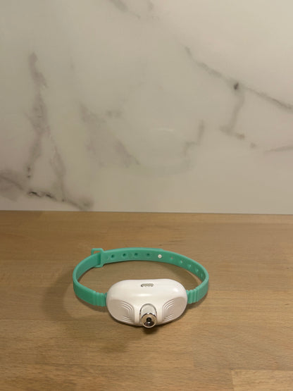 Collier Laser Automatique – Anti-Ennui