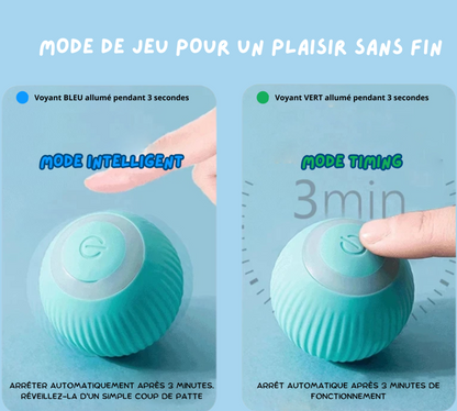 Balle Interactive pour Chats – Amusement et Bien-être Assurés !
